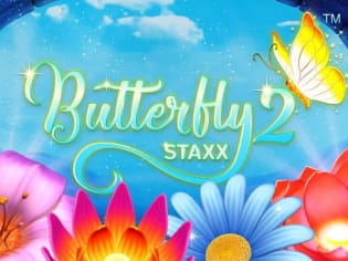 Butterfly Staxx 2 game cover