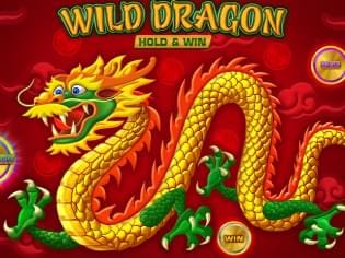 Wild Dragon HOLD&WIN game cover
