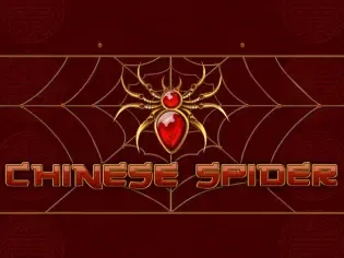Chinese Spider